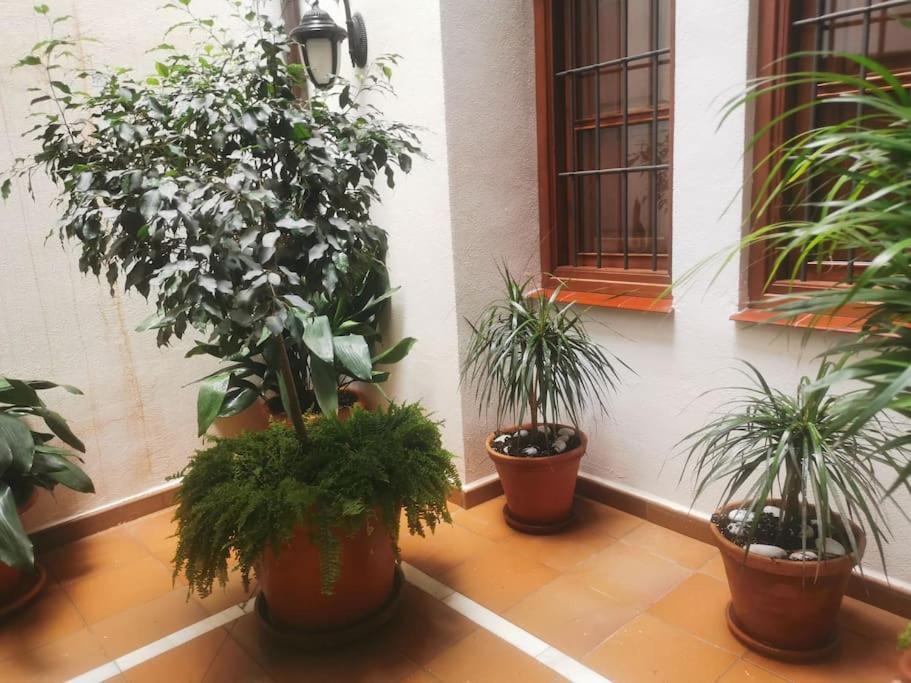 Attico Luxury SuiteМалага Экстерьер фото